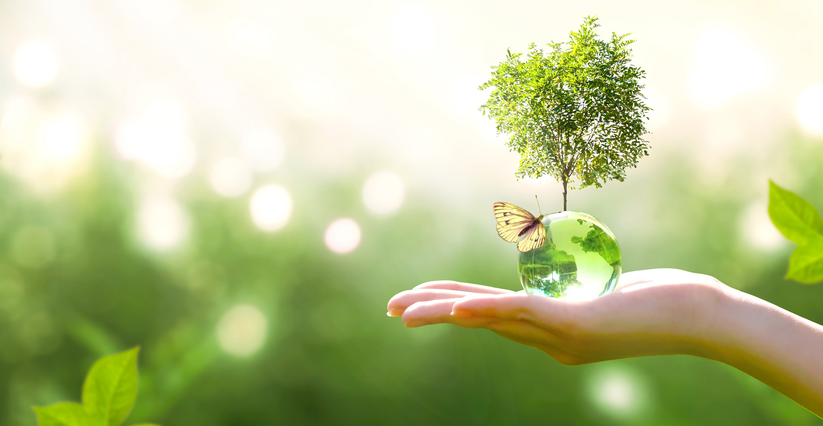 MANAGING WASTE MATERIALS FROM START TO FINISH
